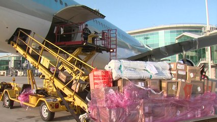 대한항공, 여객기에 화물만 22톤 싣고 운항 / YTN