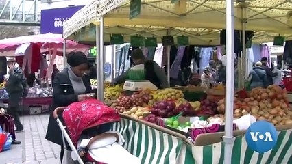 'Green Wave’ of Ecologically Minded Candidates May Surge in Upcoming Municipal Polls in France