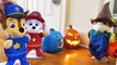 Paw Patrol Baby Pup Halloween Toy Learning Video for Kids-