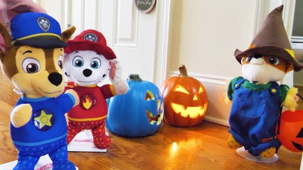 Paw Patrol Baby Pup Halloween Toy Learning Video for Kids-