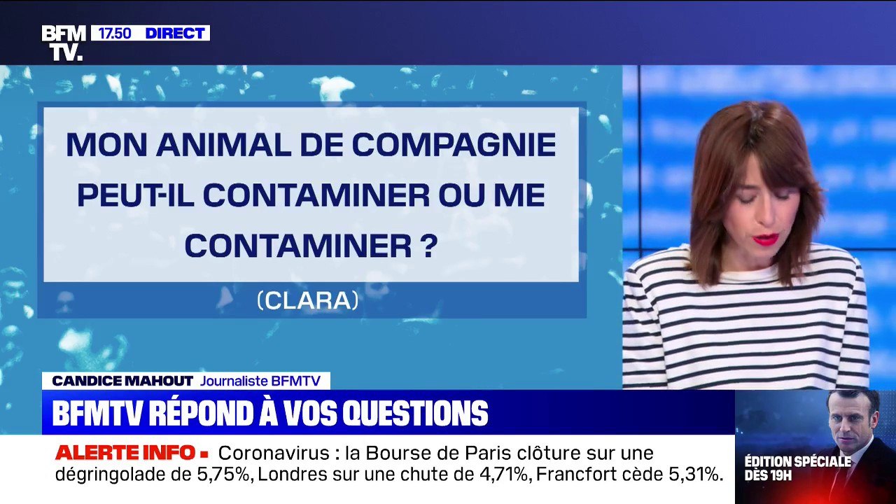 Mon animal de compagnie peut-il me contaminer ?...