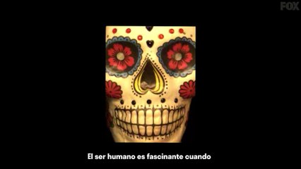 Ya está aquí el trepidante tráiler de 'Vis a Vis: El Oasis'