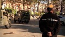 La UME despliega más de mil efectivos por toda España