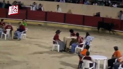 Boğa kendisine meydan okuyanları hallaç pamuğu gibi dağıttı