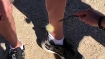 Un cactus bien décidé a rester collé sur les jambes