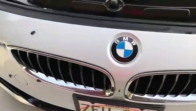 Des centaines de cafards ont envahi cette voiture BMW