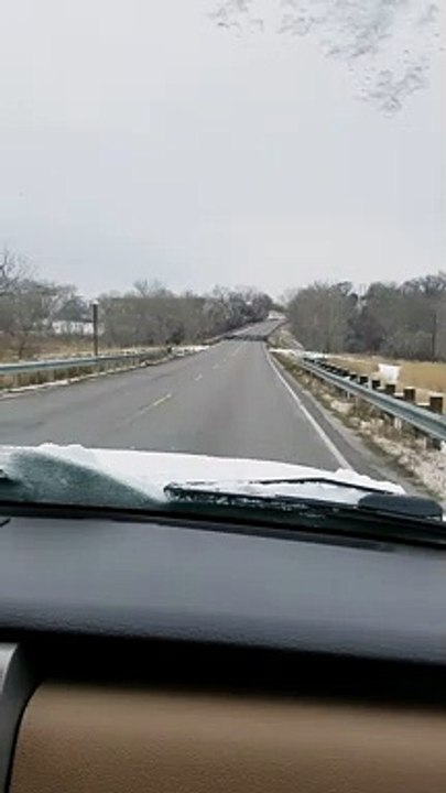 Quand tu croises des centaines d'oiseaux sur la route, bien décidés à ne pas s'envoler