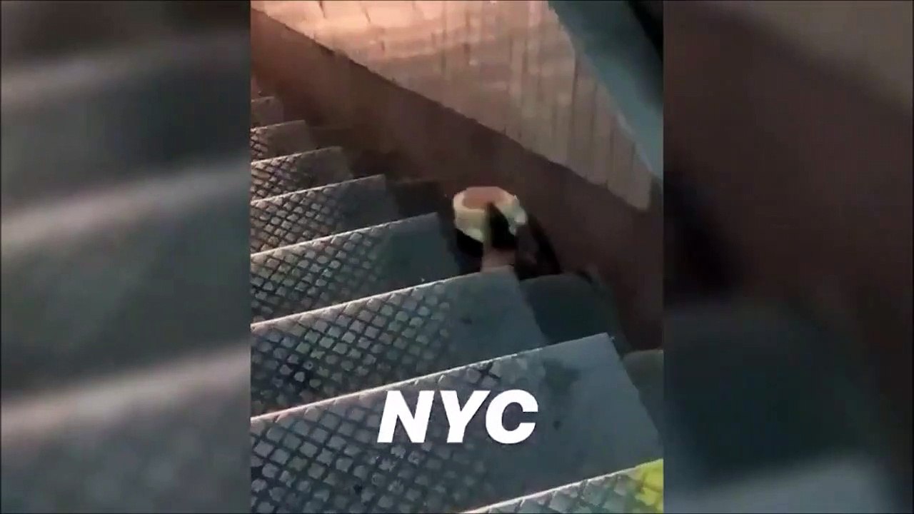 Un énorme rat embarque un gros sandwich dans les rues de New York