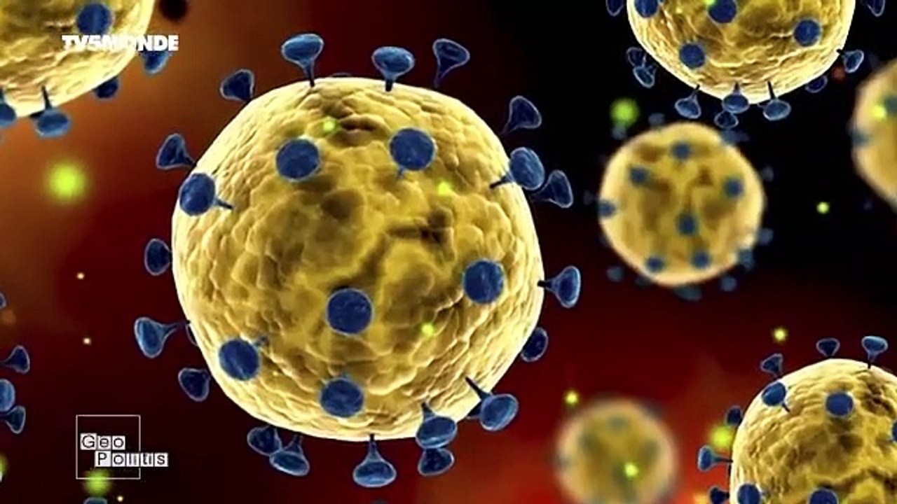 documentair sur CORONAVIRUS(360P)