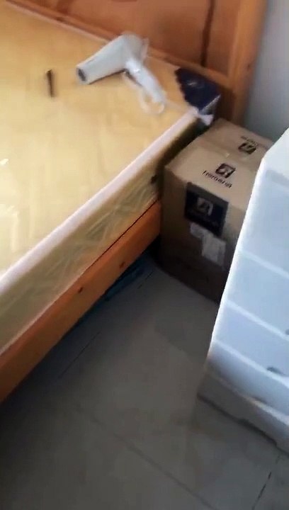 Cat Has a Clever Hiding Spot