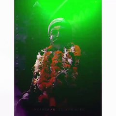 CHHATRAPATI SHIVAJI MAHARAJ | JAYANTI STATUS VIDEO