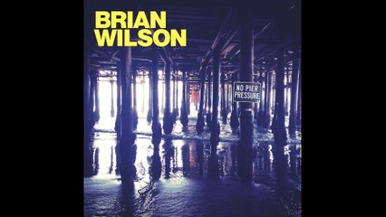 Brian Wilson - Our Special Love
