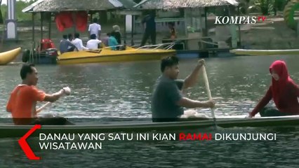 Menikmati Hutan Liontin di Danau Tangkas Jambi