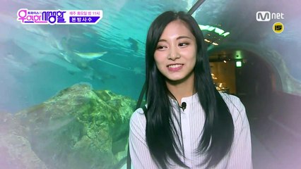 [스페셜] 쯔위가 미래의 남친에게 보내는 영상편지♡