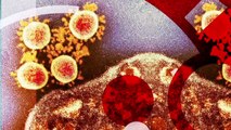 Coronavirus Explained- What is the impact_ - BBC News_HD
