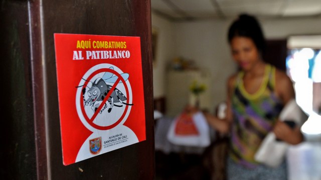 Dengue fever crisis grips Latin America