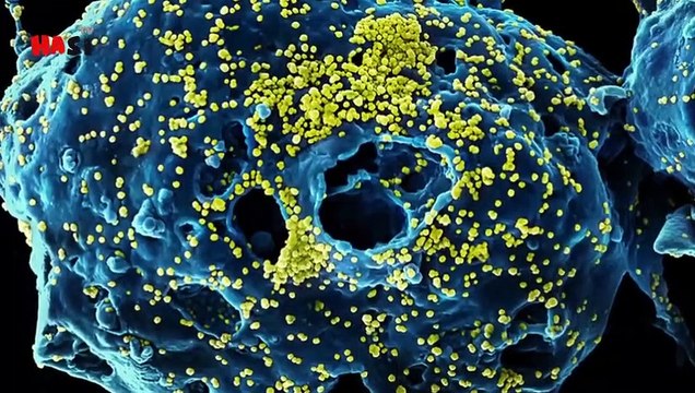 Signs Of Qayamat Prophet Muhammad(SAW) Mentioned 1400 Years Ago _ Urdu _