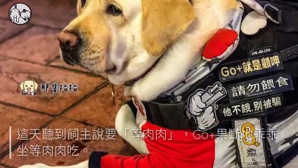 petmao_curation-petsmao.nownews-copy3-20200317-09:30