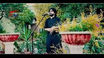 Ni Manr Dil Da Qarar Tun Ae Zeeshan Rokhri New Video Song 2019{Sonywaqas}{Sonywaqas}