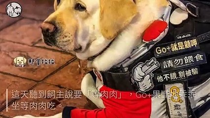 petmao_curation-petsmao.nownews|petmao_curation_mobile-copy4-20200317-09:30