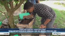 Peternak Madu Flora di Pematang Siantar Bisa Produksi Hingga 300 Kg per Bulan