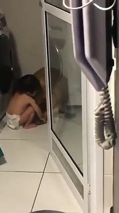 Un petit garçon réconforte son chien terrifié par un orage