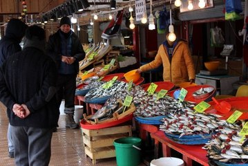 Balık fiyatları yüzde 50 düştü