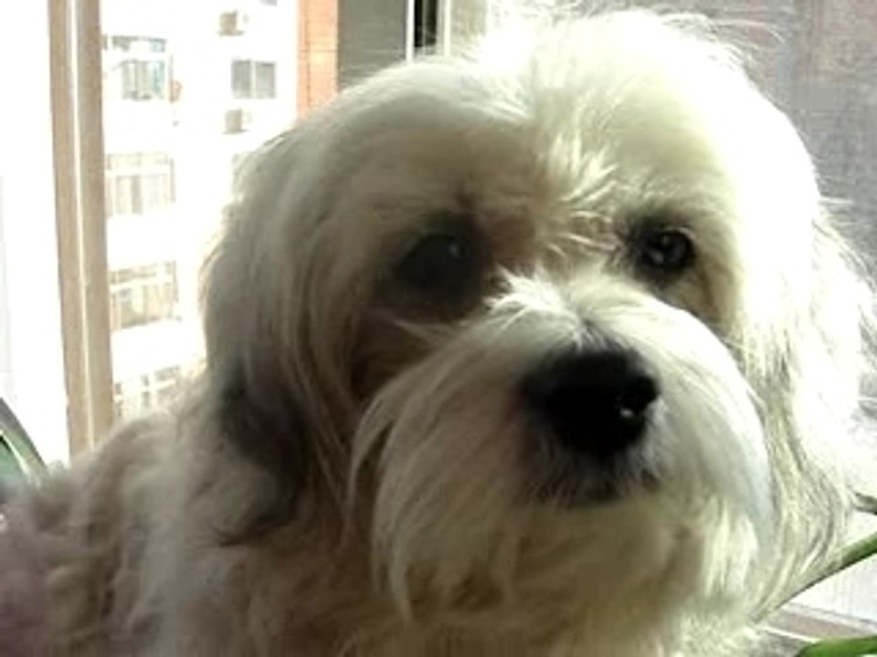 Taotao in Balcony
