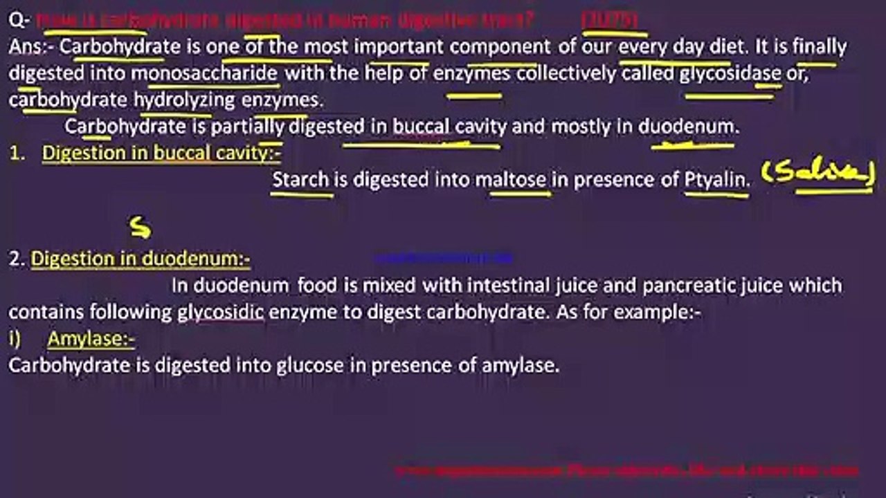 Digestion of Carbohydrate in human alimentary canal, Past year question of neb for class twelve
