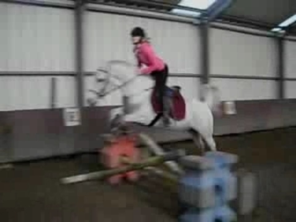 Cso lupiin