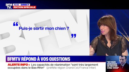 Ai-je droit de sortir le chien ou de faire prendre l'air à mes enfants ?