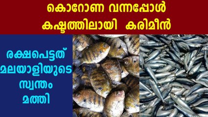 കരിമീനല്ല മത്തി തന്നെ താരം | Oneindia Malayalam