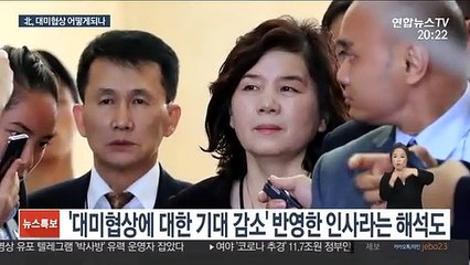 北, '미국통' 최강일 유럽배치…대미협상 어떻게 되나