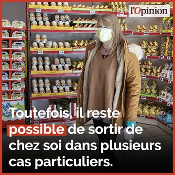 Coronavirus: déplacements, contrôles... quels sont mes droits et mes devoirs durant le confinement ?