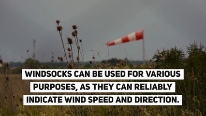 Decorative Windsock Flags on Sale