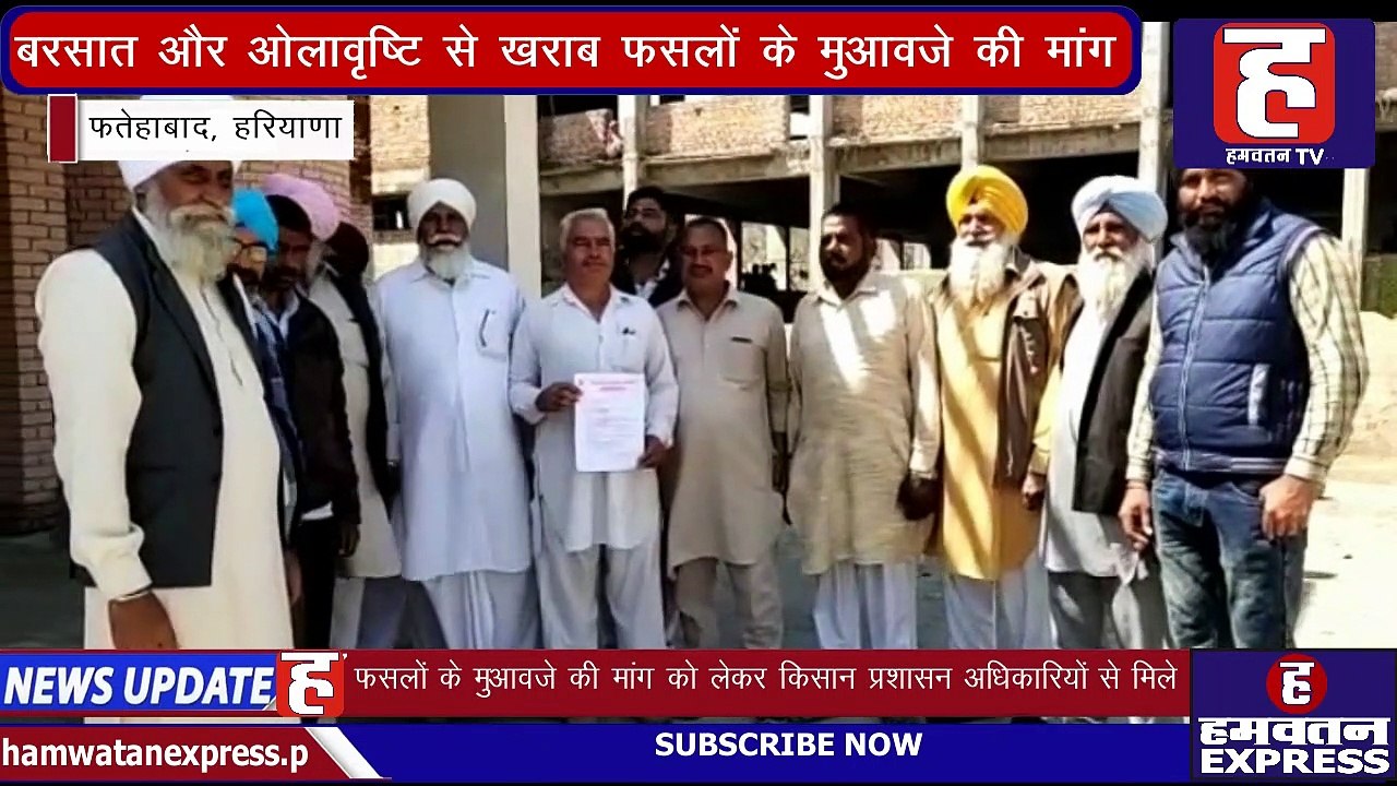 फतेहाबाद में बरसात और ओलावृष्टि से खराब फसलों के मुआवजे की मांग | Fatehabad | Haryana | Hamwatan TV