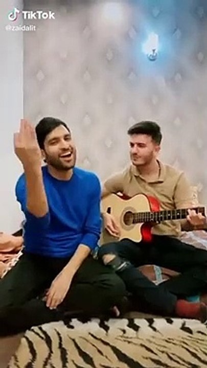 Shahveer Jafry,Zaid Ali T,Rahim Pardesi,Ducky Bhai,sham idress,TikTok Videos - Pakistani tik tok videos