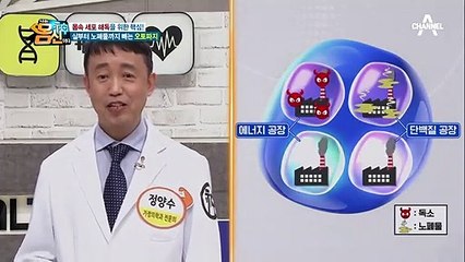 최근 의학계의 화두인 [오토파지]는 몸속 세포 해독을 위한 핵심★