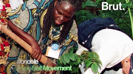 Qui est Wangari Maathai, figure du combat écologiste kenyan ?