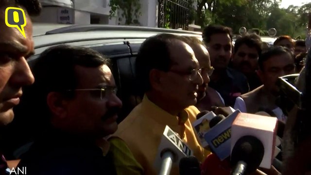 Shivraj Singh Chouhan Requests MP Guv to Stop Fresh Appointments