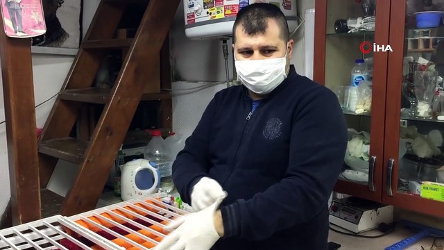 Berberlerden eldivenli, maskeli korona virüs önlemi