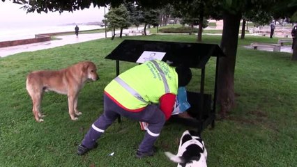 Sokak hayvanlarının beslenmesi için tedbir alındı