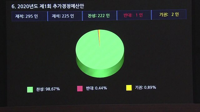 11조 7천억 원 코로나19 추경안 본회의 통과 / YTN