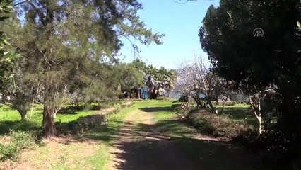 Denize açıldıktan sonra haber alınamayan 3 kişiyi arama çalışmaları sürüyor