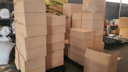 검찰, 사재기 등 압수 마스크 8만 개 공적 유통 / YTN