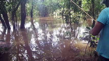 PESCARIA DE SARDINHA DE ANZOL E VARA DE MÃO