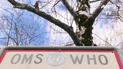 OMS investiga si ibuprofeno es contraproducente para coronavirus