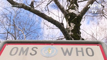 OMS investiga si ibuprofeno es contraproducente para coronavirus