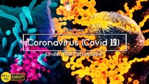 New Images Released - Coronavirus (Covid 19) Under The Microscope