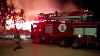 Serik'te sazlık alan yangını kısmen kontrol altına alındı